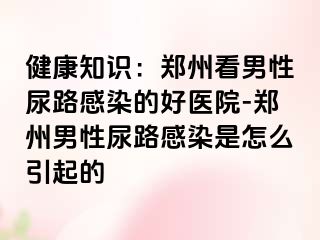 健康知识：郑州看男性尿路感染的好医院-郑州男性尿路感染是怎么引起的