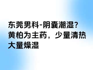 东莞男科-阴囊潮湿？黄柏为主药，少量清热大量燥湿