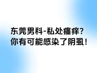 东莞男科-私处瘙痒？你有可能感染了阴虱！